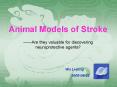 Animal Models of Stroke PowerPoint PPT Presentation