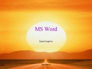 MS Word