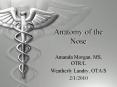 Anatomy%20of%20the%20Nose PowerPoint PPT Presentation