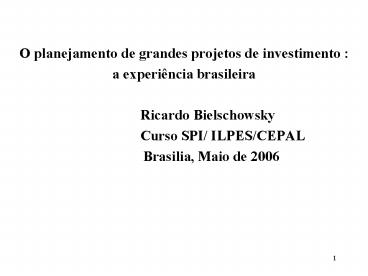 O planejamento de grandes projetos de investimento :