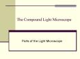 The Compound Light Microscope PowerPoint PPT Presentation