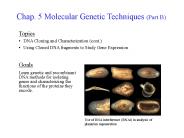 Chap. 5 Molecular Genetic Techniques (Part B)