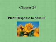 Plant Response to Stimuli
