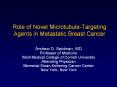 Role of Novel Microtubule-Targeting Agents in Metastatic Breast Cancer PowerPoint PPT Presentation