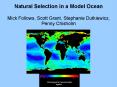 Natural Selection in a Model Ocean PowerPoint PPT Presentation