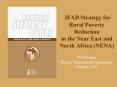 IFAD Strategy for Rural Poverty Reduction in the Near East and North Africa (NENA)  PN Division Project Management Department February 2002 PowerPoint PPT Presentation