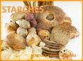 POTATOES GRAINS LEGUMES PowerPoint PPT Presentation