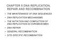 CHAPTER 5 DNA REPLICATION, REPAIR AND RECOMBINATION PowerPoint PPT Presentation