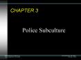 Police Subculture PowerPoint PPT Presentation