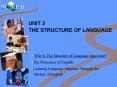 UNIT 3 THE STRUCTURE OF LANGUAGE PowerPoint PPT Presentation