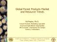 Global Forest Products Market and Resource Trends PowerPoint PPT Presentation