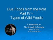 Live Foods from the Wild Part IV 