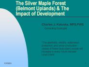 The Silver Maple Forest (Belmont Uplands)
