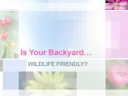 Is Your Backyard