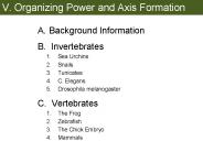 V. Organizing Power and Axis Formation