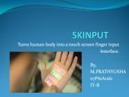 SKINPUT