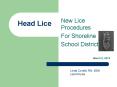Head Lice PowerPoint PPT Presentation