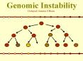 Genomic Instability PowerPoint PPT Presentation