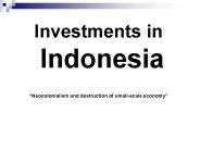 Investments in Indonesia