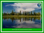 SALMO