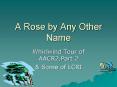 A Rose by Any Other Name PowerPoint PPT Presentation