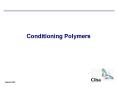 Conditioning Polymers PowerPoint PPT Presentation
