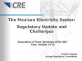 The Mexican Electricity Sector: PowerPoint PPT Presentation