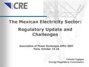 The Mexican Electricity Sector: