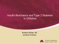 Insulin Resistance and Type 2 Diabetes   in Children PowerPoint PPT Presentation