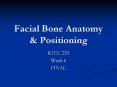 Facial%20Bone%20Anatomy%20 PowerPoint PPT Presentation