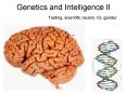 Genetics and Intelligence II Testing, scientific racism, IQ, gender PowerPoint PPT Presentation