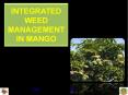INTEGRATED WEED MANAGEMENT IN MANGO PowerPoint PPT Presentation