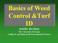 Basics of Weed Control PowerPoint PPT Presentation