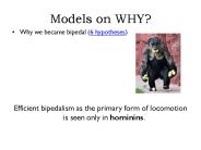 Models on WHY?