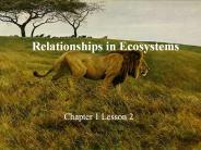 Relationships in Ecosystems