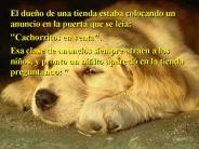Una Historia de Perros