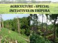 AGRICULTURE : SPECIAL INITIATIVES IN TRIPURA PowerPoint PPT Presentation