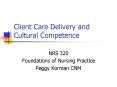 Client Care Delivery and Cultural Competence PowerPoint PPT Presentation