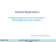 Sistema Respirat