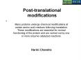 Post-translational modifications PowerPoint PPT Presentation