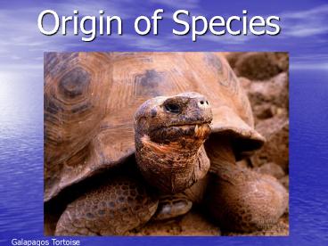 Origin of Species