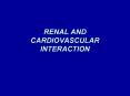 RENAL AND CARDIOVASCULAR INTERACTION PowerPoint PPT Presentation