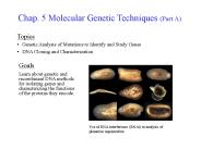 Chap. 5 Molecular Genetic Techniques (Part A)