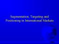 Segmentation, Targeting and Positioning in International Markets PowerPoint PPT Presentation