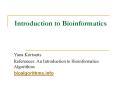 Introduction to Bioinformatics PowerPoint PPT Presentation