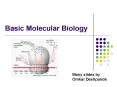 Basic Molecular Biology PowerPoint PPT Presentation