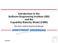 Introduction to the Software Engineering Institute (SEI) and the Capability Maturity Model (CMM) PowerPoint PPT Presentation