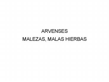 ARVENSES MALEZAS, MALAS HIERBAS