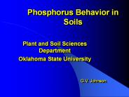 Phosphorus Behavior in Soils