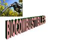 BIOCOMBUSTIBLES PowerPoint PPT Presentation